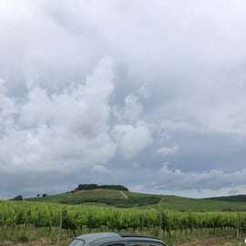 Depuis Sienne : Excursion d'une journée dans une Fiat 500 d'époque avec vignobles