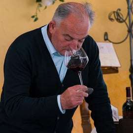 San Gimignano: 2-Hour Wine & Gourmet Tasting with Drinks