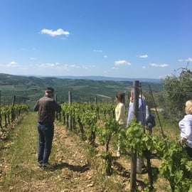 Prohlídka vinařství Gagliole v Chianti Classico: degustace