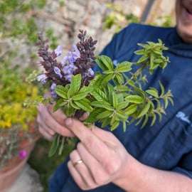 Pienza: Almuerzo Típico Gourmet en Antigua Granja Toscana