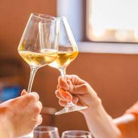 Wine Tasting at Palagetto Winery, San Gimignano