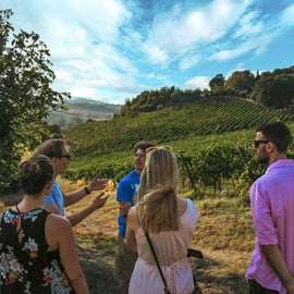 Sienne : Visite d'un vignoble biologique et dégustation de vin