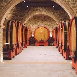 Montalcino: Wine and Olive Oil Tasting, Cellar Tour