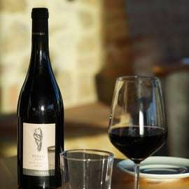 Degustace vína ve vinařství Mormoraia u San Gimignana