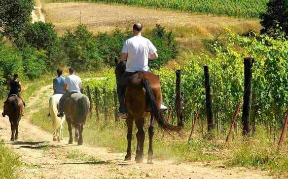 Lovaglótúra San Gimignanóban agriturizmusbeli étkezéssel