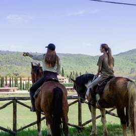 Balade à cheval en Toscane près de Sienne : vignes et polo