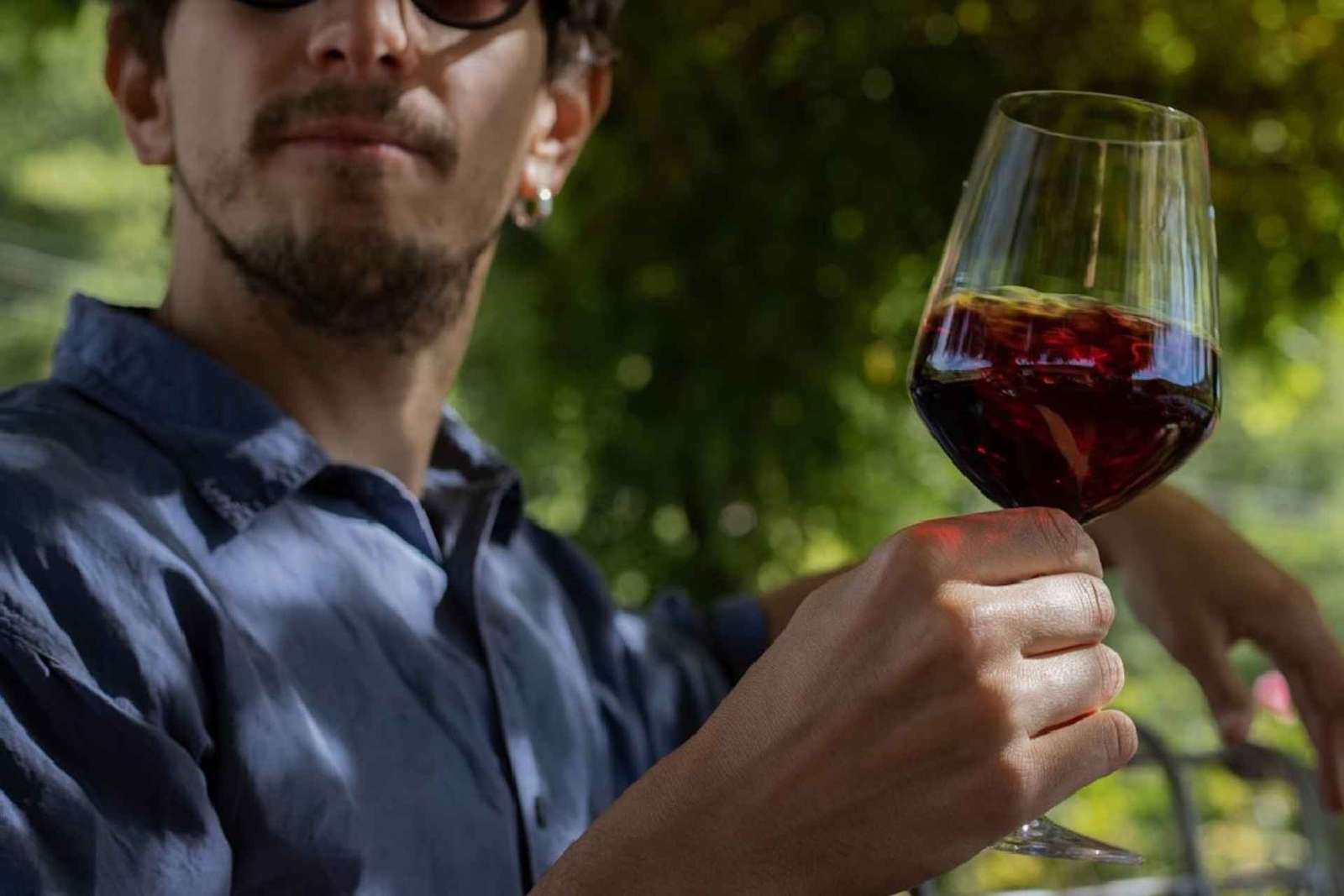 Degustação de vinhos em Radda in Chianti com visita à adega