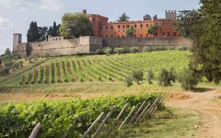 Ze Sieny: Chianti Wine Tour z lunchem