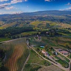Ridtur i San Gimignano: en timme bland kullar och vingårdar