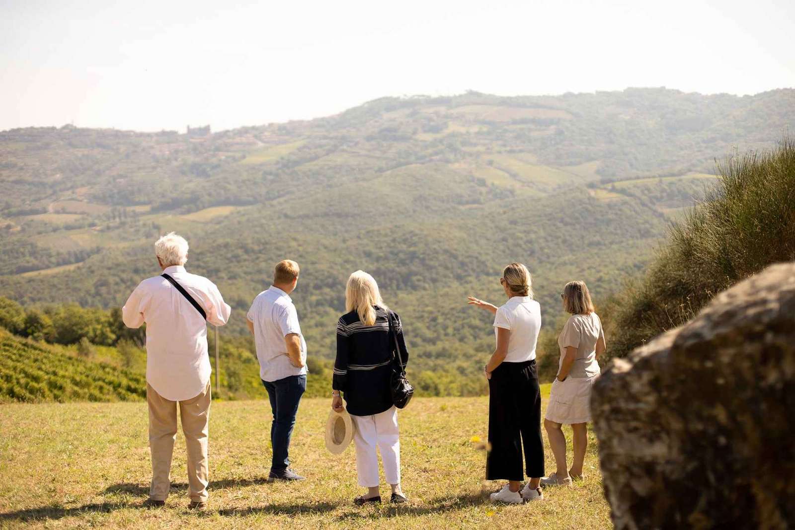 Visite de cave à Montalcino : vignes biodynamiques et 6 vins