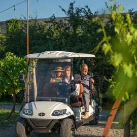 Monteriggioni : visite des vignobles en voiturette de golf avec vin et déjeuner