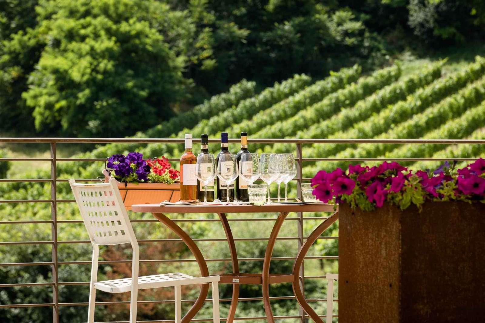 San Gimignano: Visita a la Bodega con Picnic en el Olivar