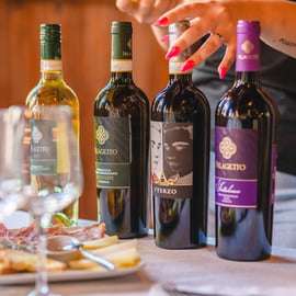 Wine Tasting at Palagetto Winery, San Gimignano
