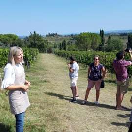 San Gimignano: Tour Premium del Vino con Pranzo