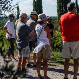 Siena: Visita à vinícola e degustação com o proprietário/fabricante de vinhos premiados