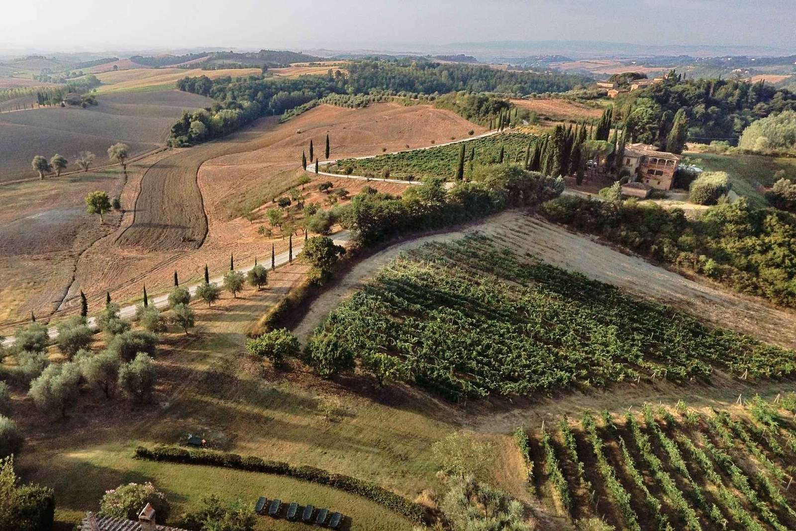 Siena: Visita à vinícola e degustação com o proprietário/fabricante de vinhos premiados