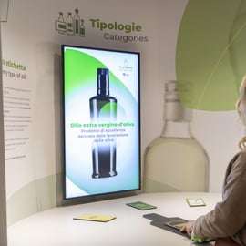 Olajmúzeum és olajmalom Toszkánában: interaktív túra és kóstoló