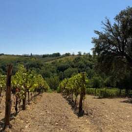 Poggio San Polo borászati túra a Chiantiban Classico-kóstolóval