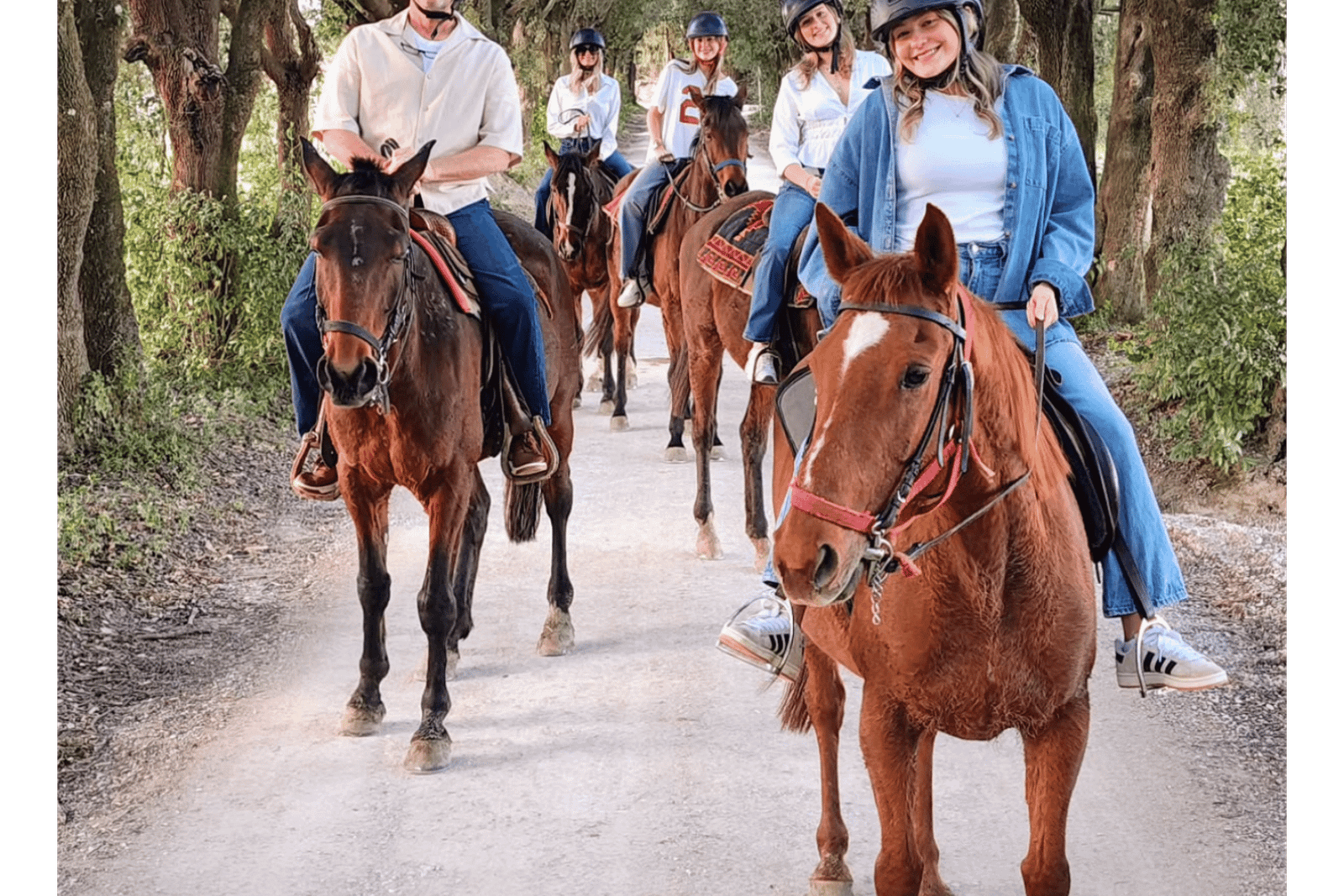 Balade à cheval dans la campagne siennoise, vignes et cyprès