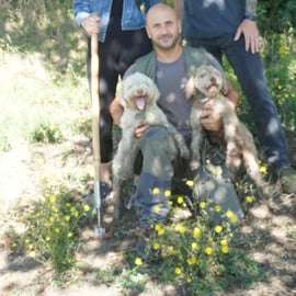 Trequanda: Tuscan Truffle Hunting Experience with Lunch