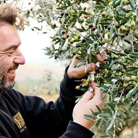 Greve en Chianti: juego del aceite - Cata de AOVE Pruneti