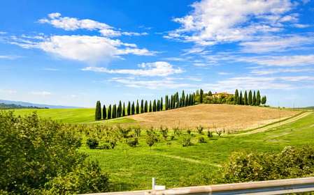 From Siena: Montepulciano & Pienza Wine Tour