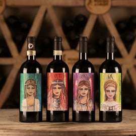 Chianti: Toscaans wijngaarddiner met wijnproeverij