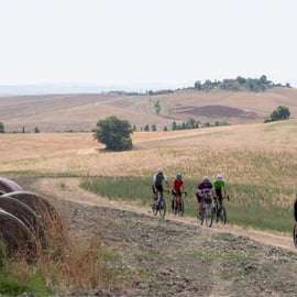 Siena: Radtour im Chianti Classico mit optionaler Weinprobe