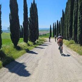 Siena: Radtour im Chianti Classico mit optionaler Weinprobe