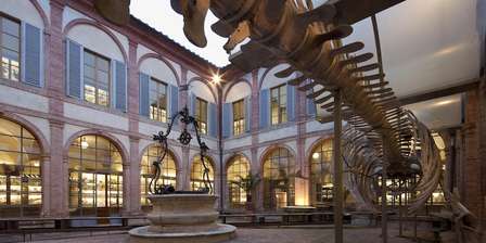 Museo de Historia Natural