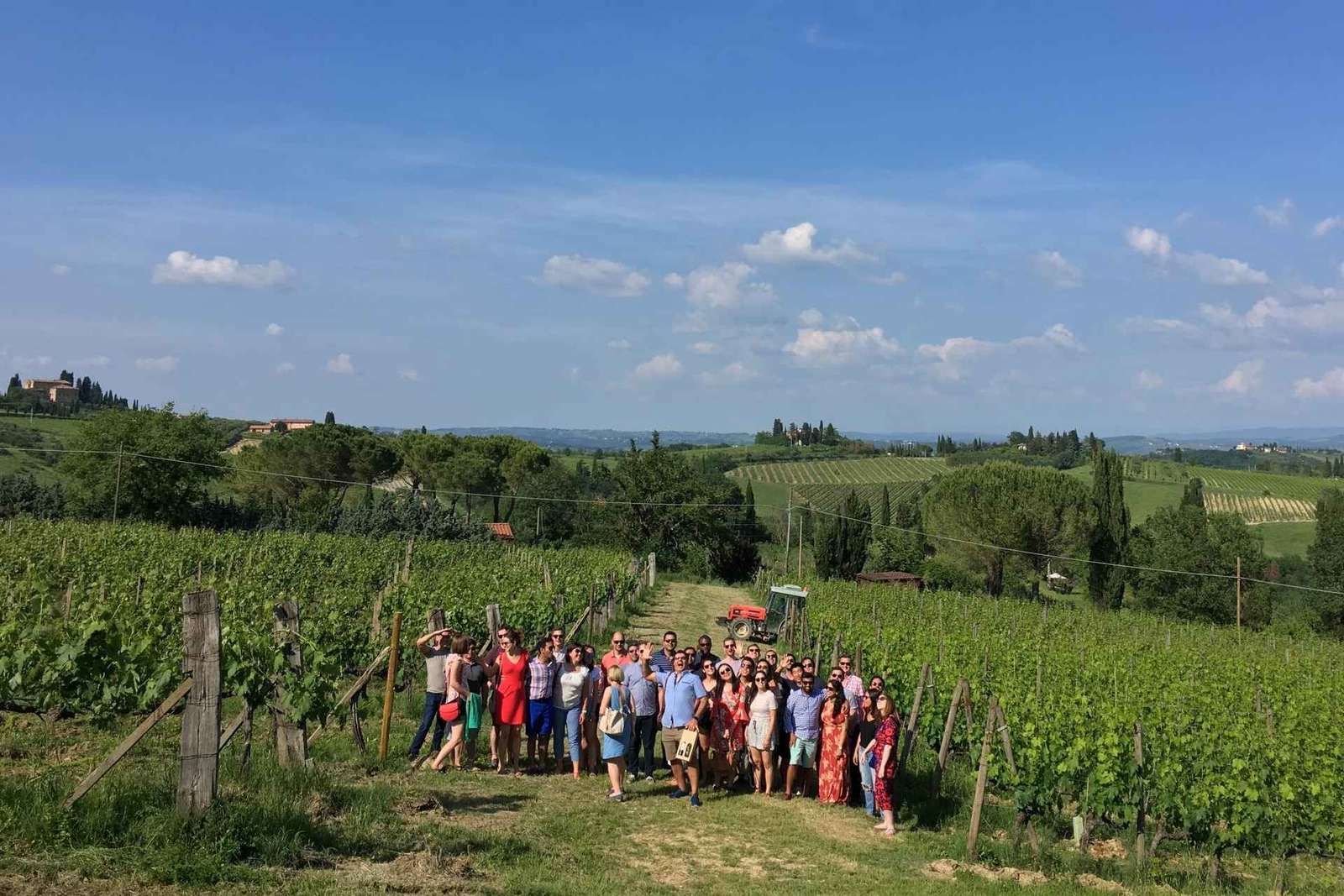 San Gimignano: Tour Premium del Vino con Pranzo
