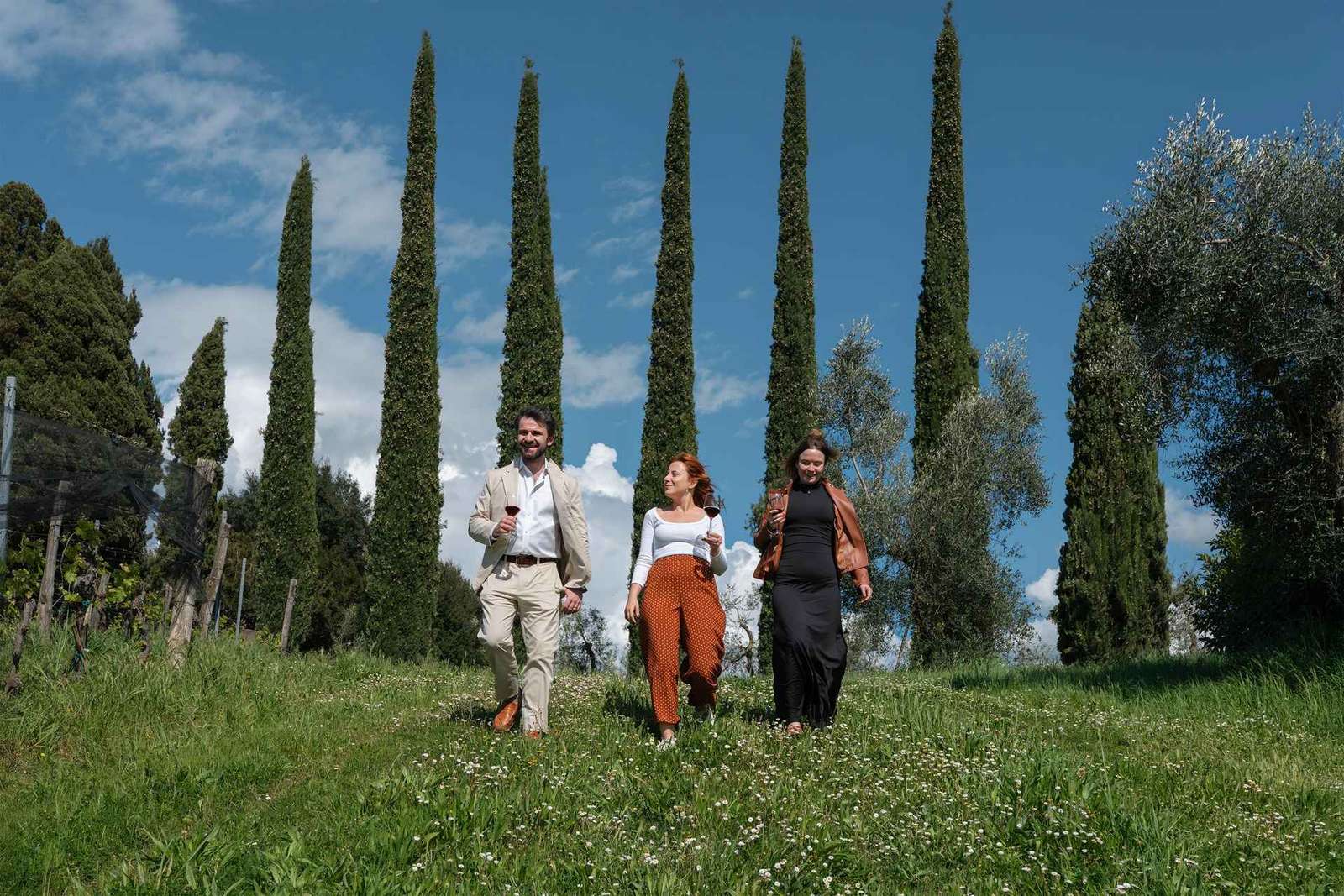Sienne : Visite d'un vignoble biologique et dégustation de vin