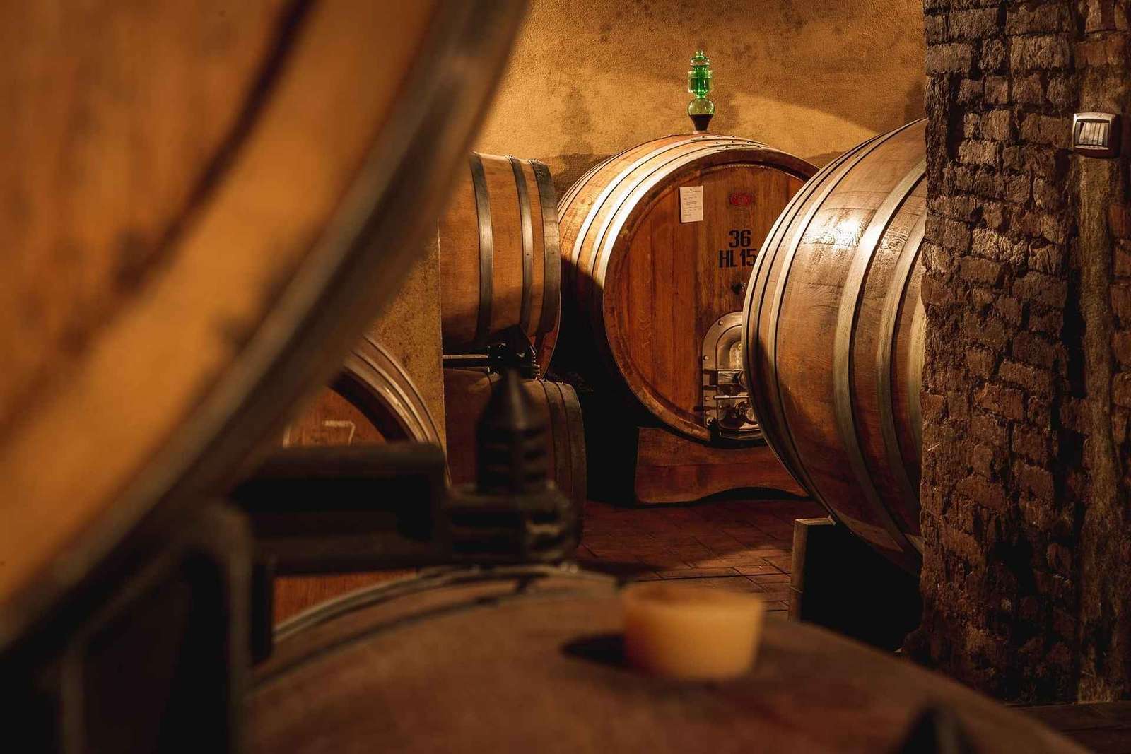Montalcino: Prohlídka hradu a vinic s degustací