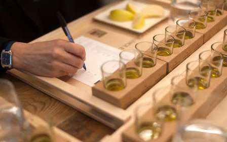 Greve in Chianti: Gra oliwna – degustacja oliwy z oliwek extra virgin Pruneti