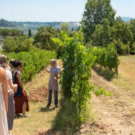San Gimignano: Mini wijntour met Toscaans aperitief