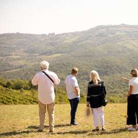 Visite de cave à Montalcino : vignes biodynamiques et 6 vins