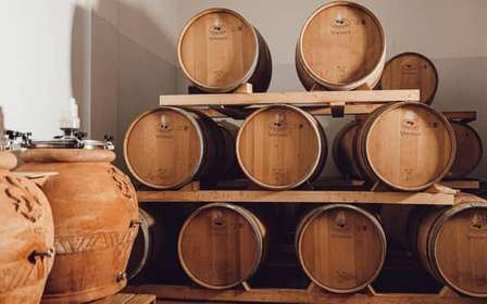 Degustacja Chianti Classico Bio w Greve in Chianti