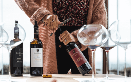 Degustacja wina w Montalcino w rodzinnej Cava d'Onice