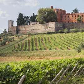 De Siena: Tour de vinhos Chianti com almoço