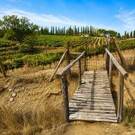 Tour in e-bike nel Chianti: Gaiole, Radda e Coltibuono