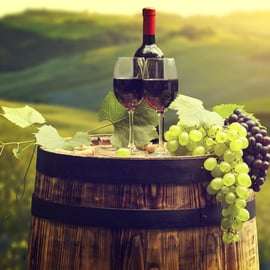 San Gimignano: Wine Tasting In A Beautiful Tuscan Villa