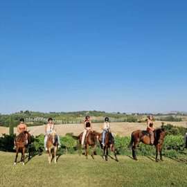 Balade à cheval dans la campagne siennoise, vignes et cyprès