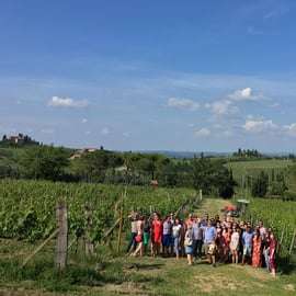 San Gimignano: Tour Premium del Vino con Pranzo