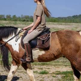 Balade à cheval en Toscane près de Sienne : vignes et polo