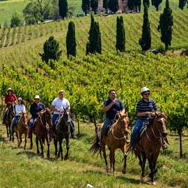 Tuscany Horseback Riding Tour with Lunch and Wine