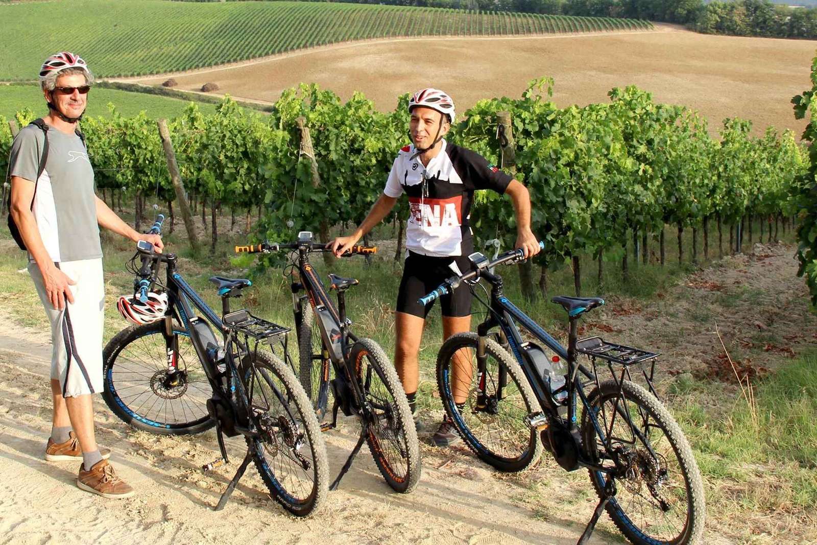 Da Siena: tour in bici elettrica nella campagna del Chianti con pranzo e vino