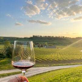 Montalcino: Wine and Olive Oil Tasting, Cellar Tour