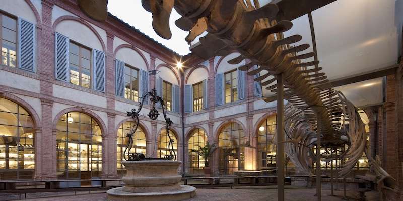 Natuurhistorisch Museum