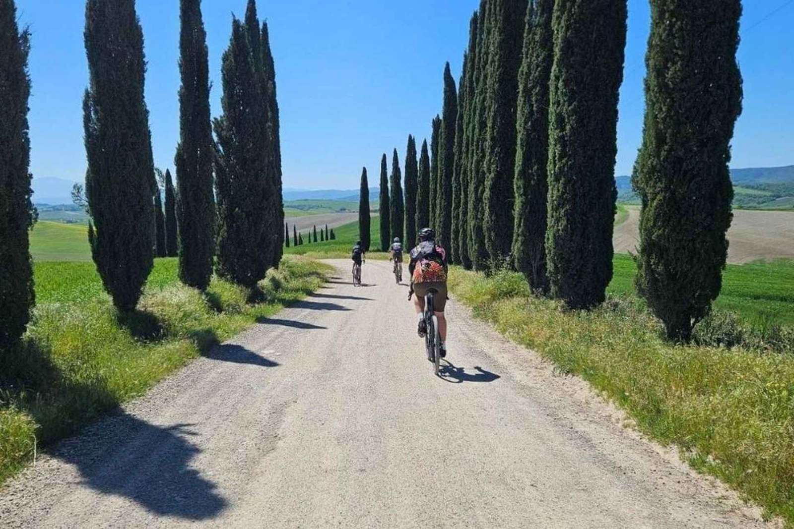 Siena: Radtour im Chianti Classico mit optionaler Weinprobe