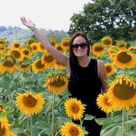 Au départ de Florence : Sienne, Cortona, Montepulciano et Val d'Orcia